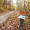 Wanderweg mit Schautafel