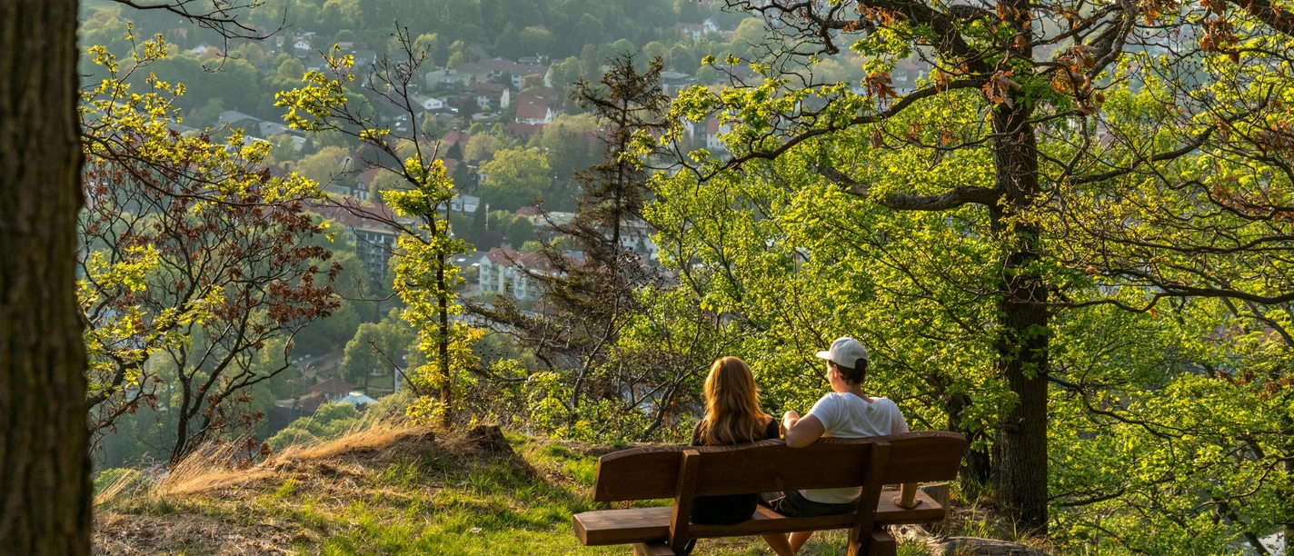 Blick auf Bad Harzburg