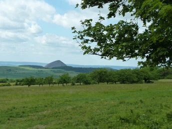 Gipskarstlandschaft bei Pölsfeld
