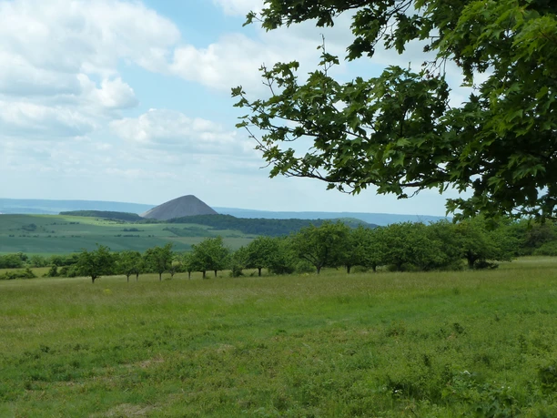 Gipskarstlandschaft bei Pölsfeld
