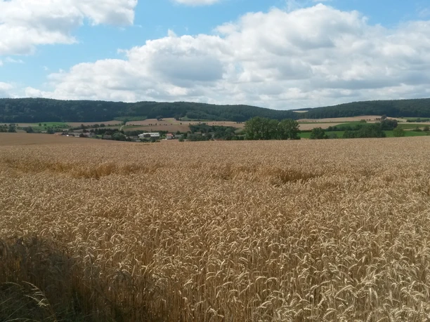 Blick auf die Heberbörde