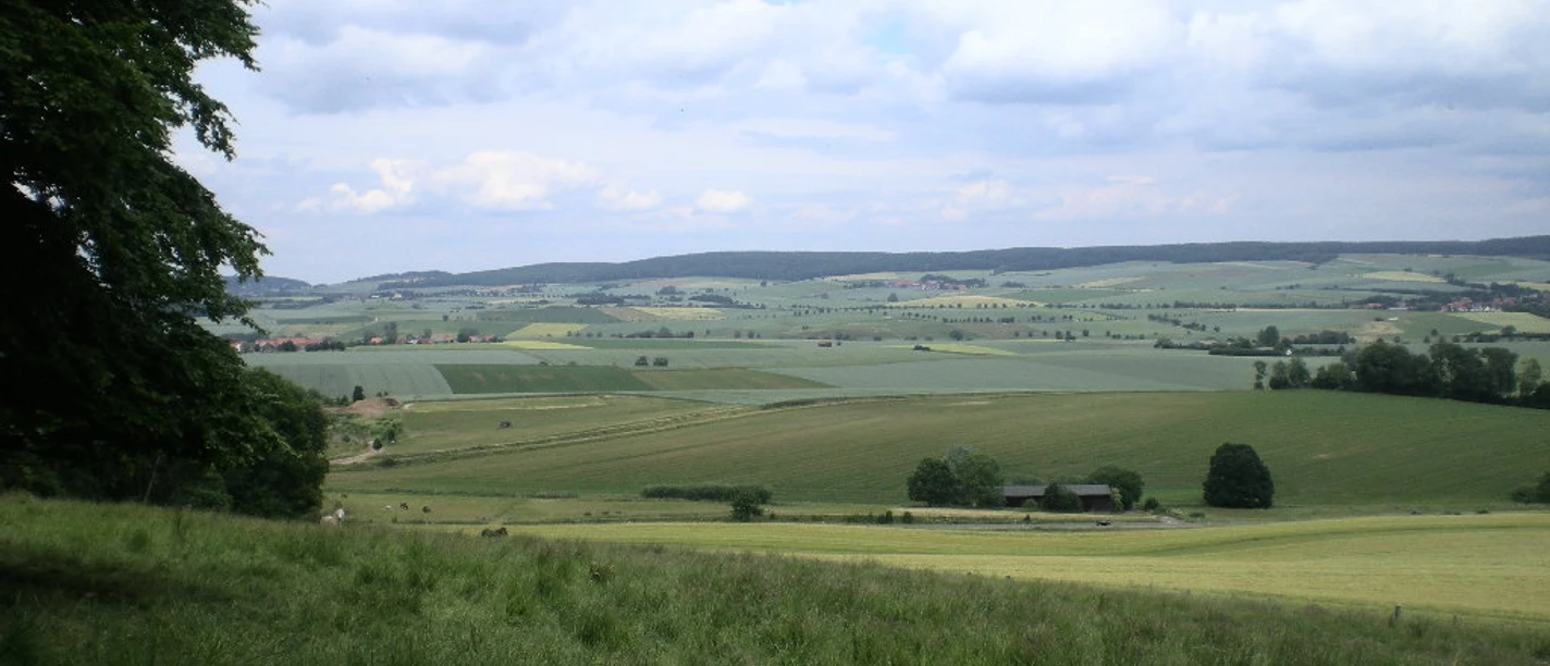 Blick auf Heber und Harz