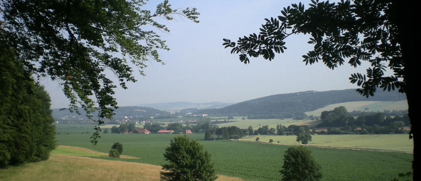 Blick über die Harzbörde