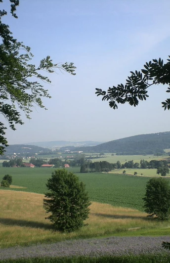 Blick über die Harzbörde