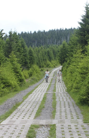 Kolonnenweg am Eckersprung