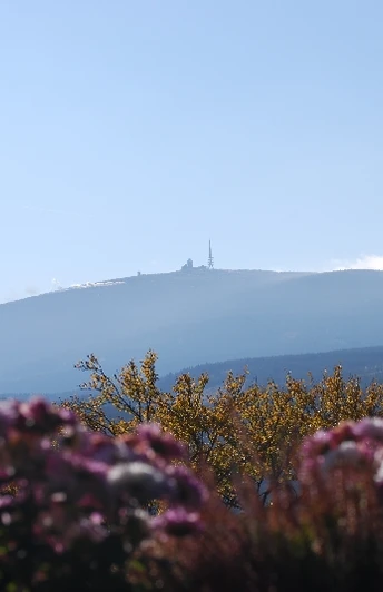 Blick zum Brocken (Foto: Bennet Doerge)