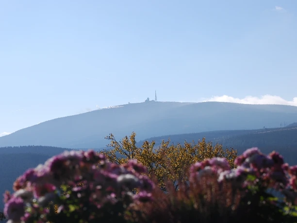 Blick zum Brocken (Foto: Bennet Doerge)