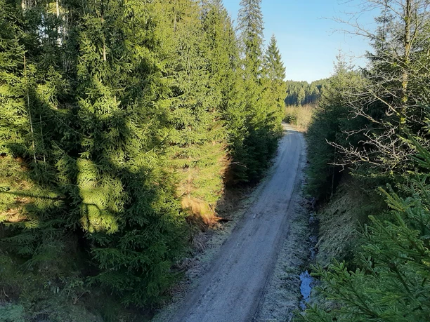 Alte Bahntrasse von Altenau nach Clausthal