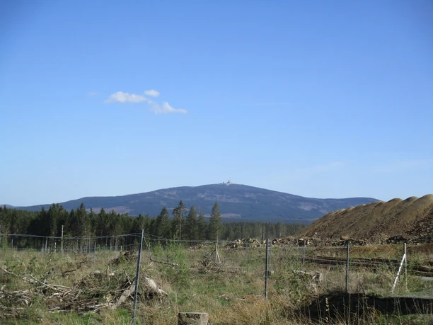 Brockenblick am Diabas Steinbruch