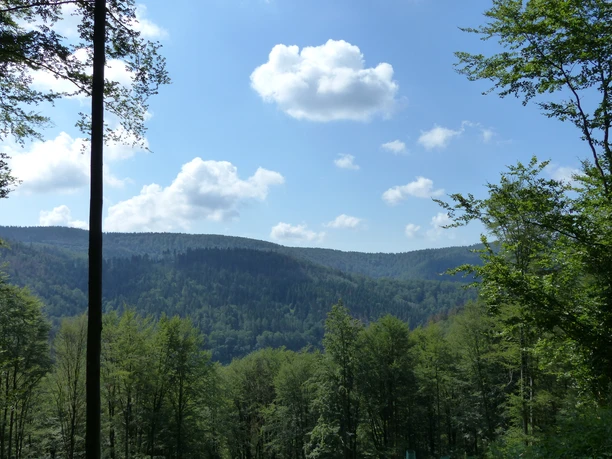 Blick ins Odertal, wo die Tour in Bad Lauterberg schließlich endet