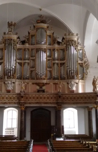 Kloster Grauhof - Stiftskirche St. Georg - Treutmann Orgel