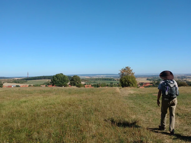 Klosterwanderweg - Feldweg nach Drübeck