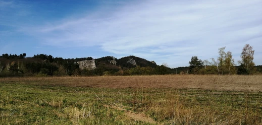 Blick zum Regensteinmassiv