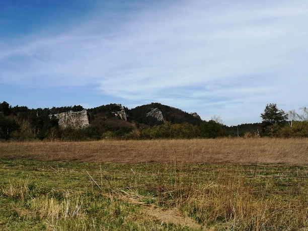Blick zum Regensteinmassiv