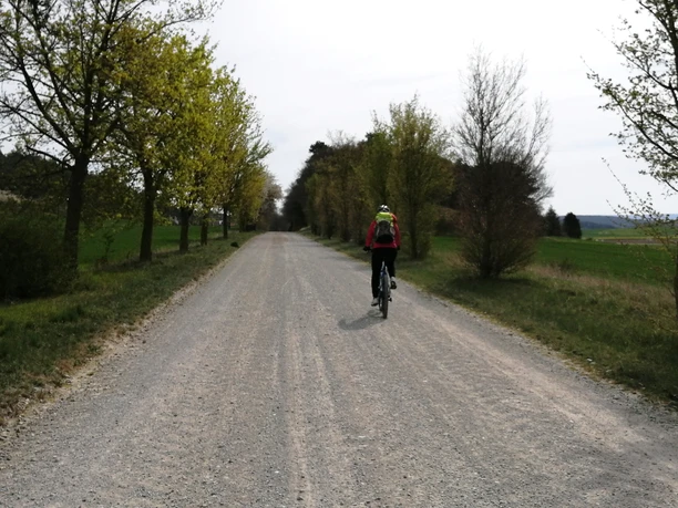 Schotterweg Richtung Börnecke
