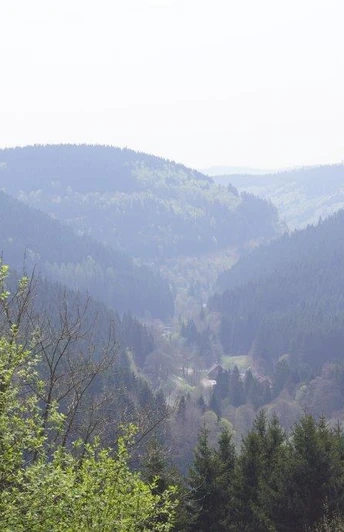 Unterstadt St. Andreasberg versteckt im Tal | Foto: S. Grüning