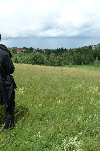 Bergwiese bei Stiege