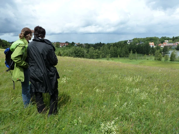 Bergwiese bei Stiege