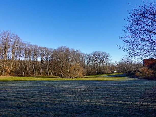 Elfenwiese am Morgen