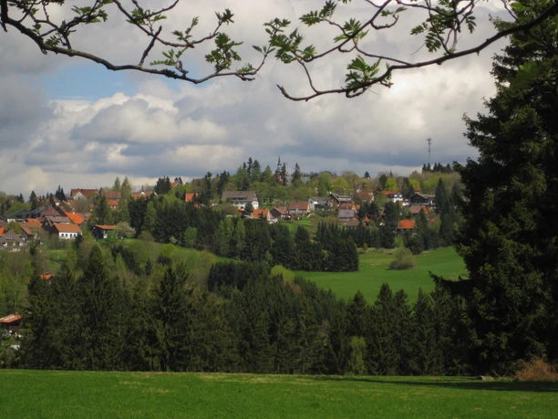 Blick vom Lampertsberg auf Hohegeiß