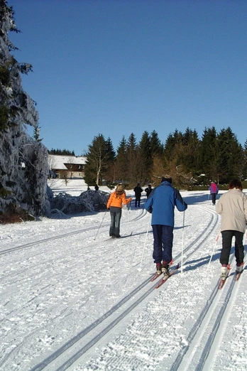 Langlauf in Sankt Andreasberg