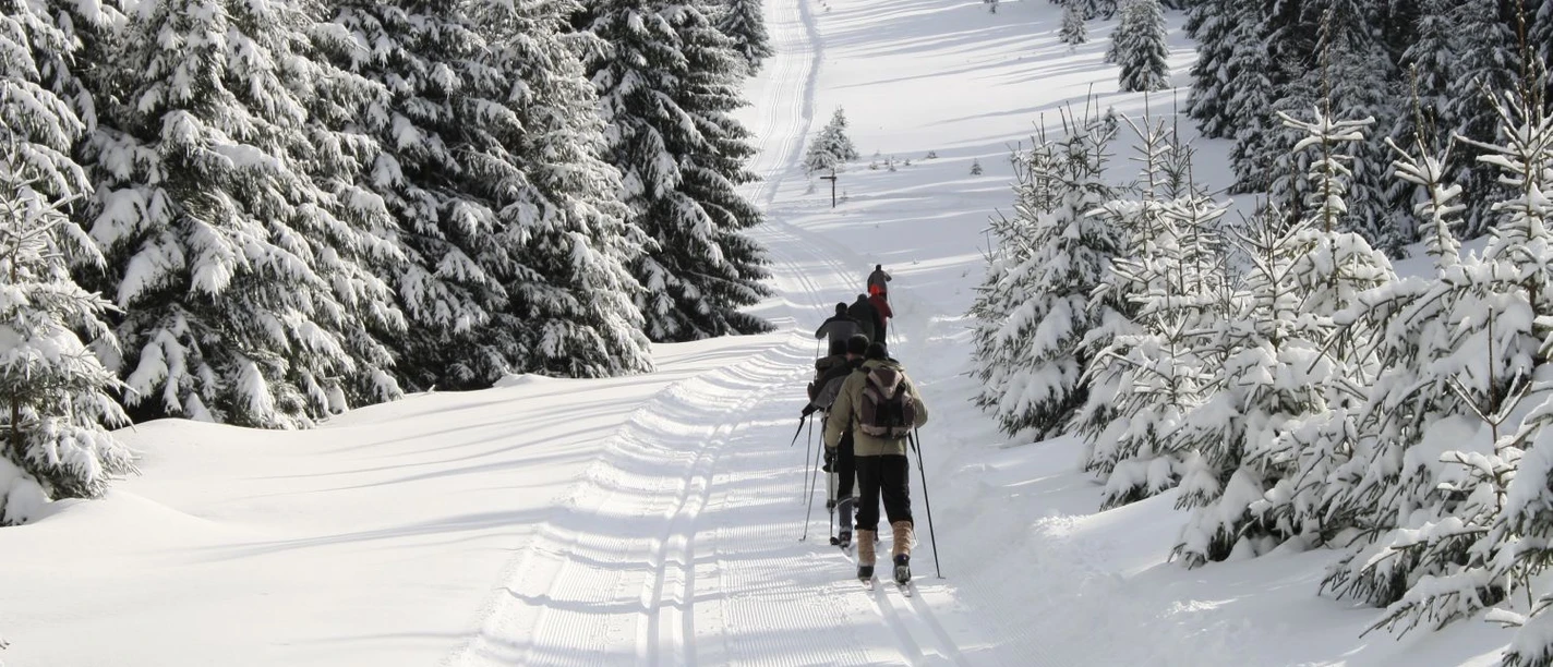 Langlauf in Schierke