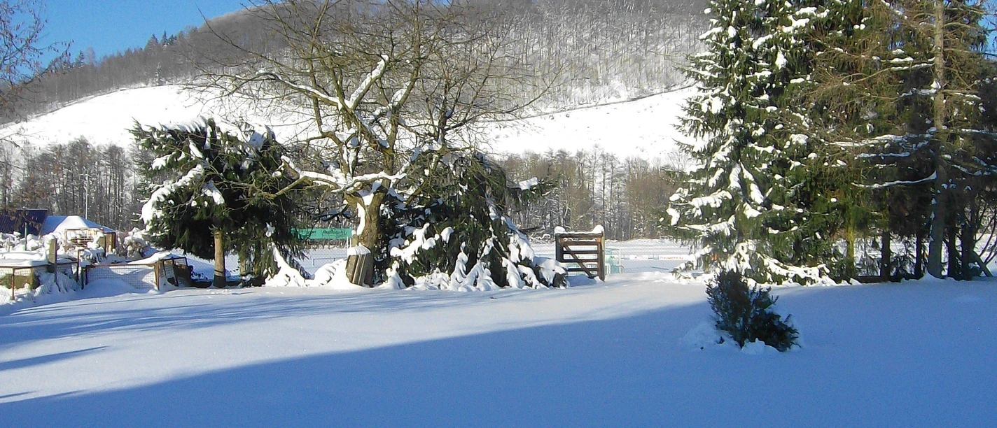 Zubringerweg zur Südharzloipe
