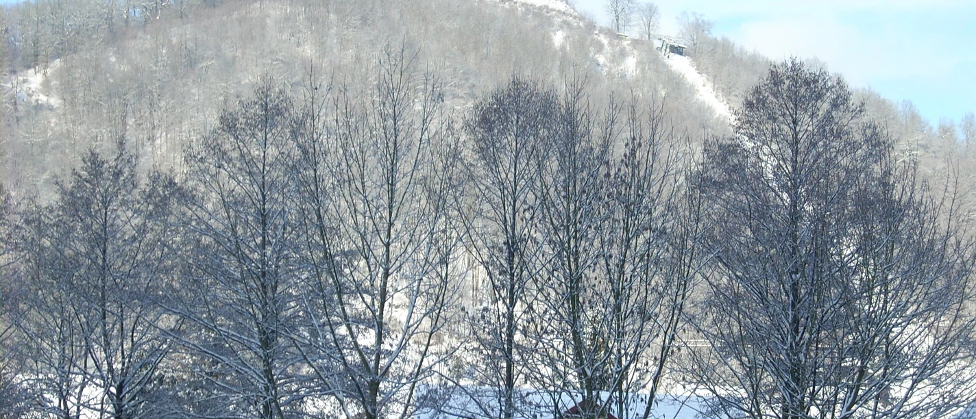 Blick auf den Hausberg
