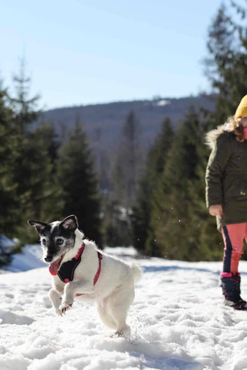 Winter in Bad Sachsa