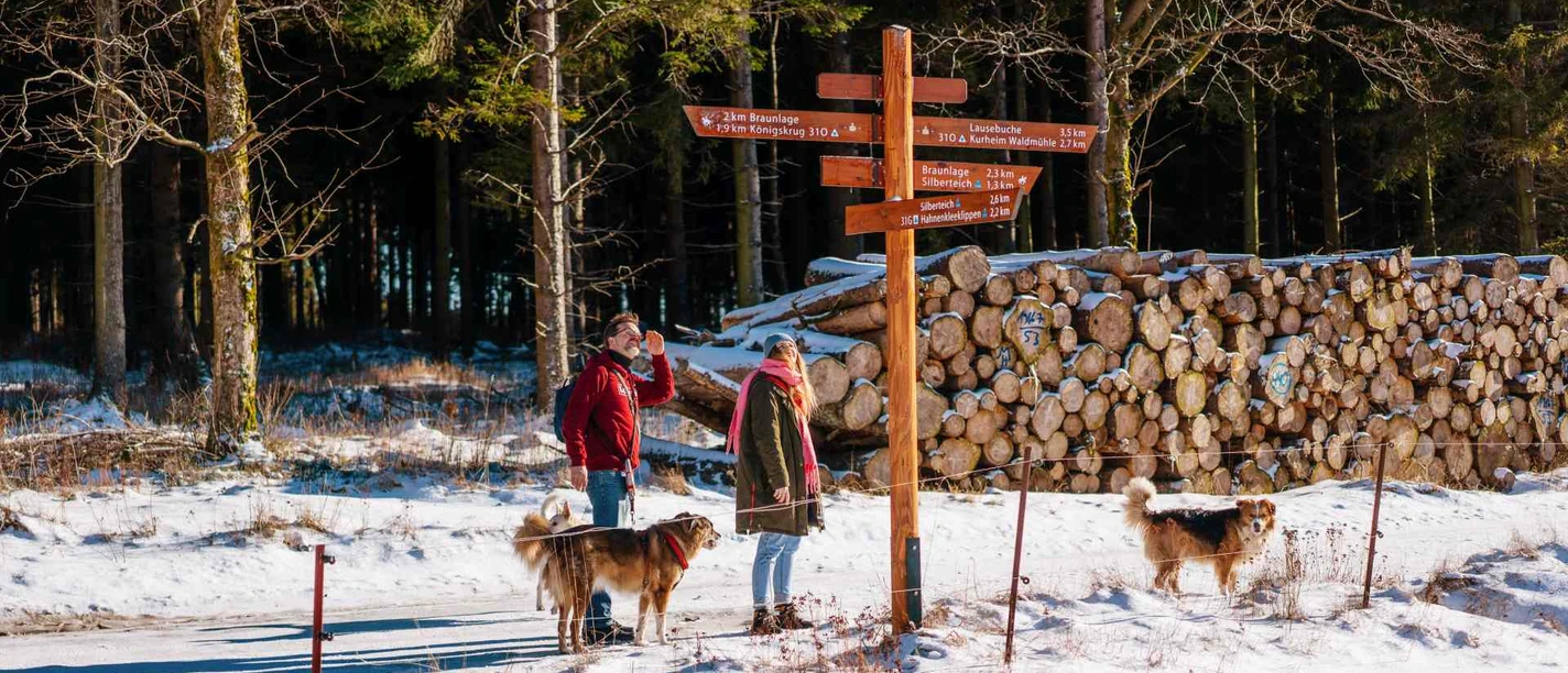 Winterwandern in Braunlage