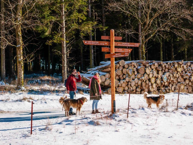 Winterwandern in Braunlage