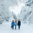Winterwandern mit Hund in Hahnenklee