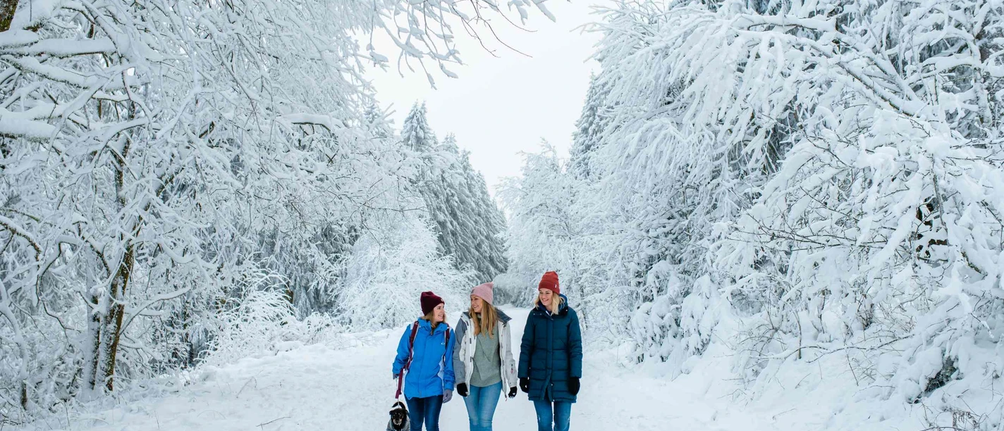 Winterwandern mit Hund in Hahnenklee
