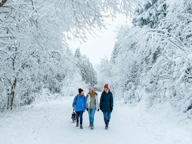 Winterwandern mit Hund in Hahnenklee