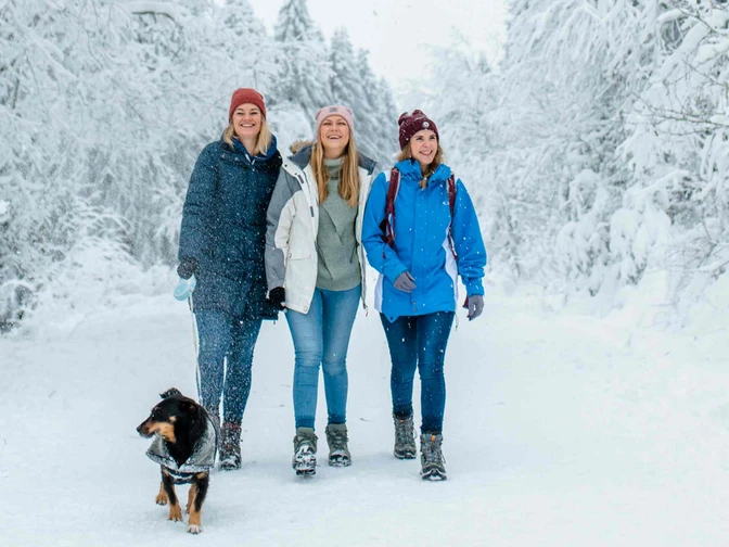 Winterwandern mit Hund in Hahnenklee