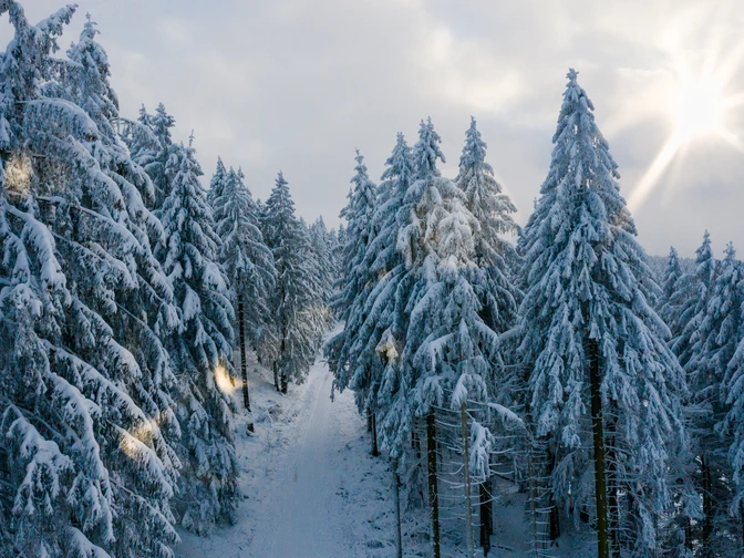 Winter in Hahnenklee