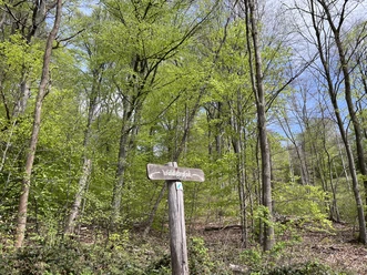 Waldlehrpfad