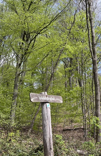 Waldlehrpfad