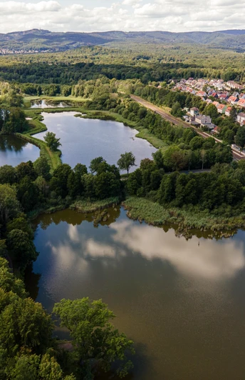 Klosterteiche Walkenried