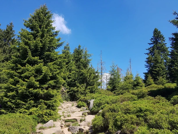 Eckerlochstieg zum Brocken