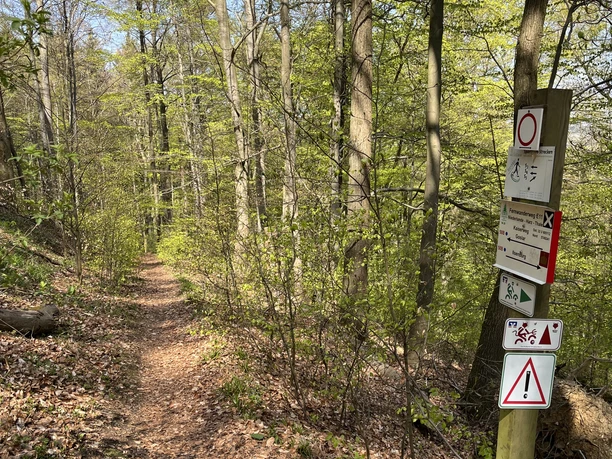 Trails im Bereich Oker