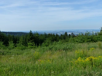 Westlicher Teil des Harzes bei Bad Grund