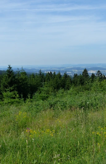Westlicher Teil des Harzes bei Bad Grund