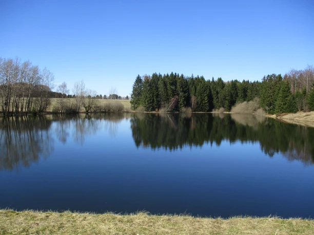 Die Überquerung führt durch das Oberharzer Wasserregal