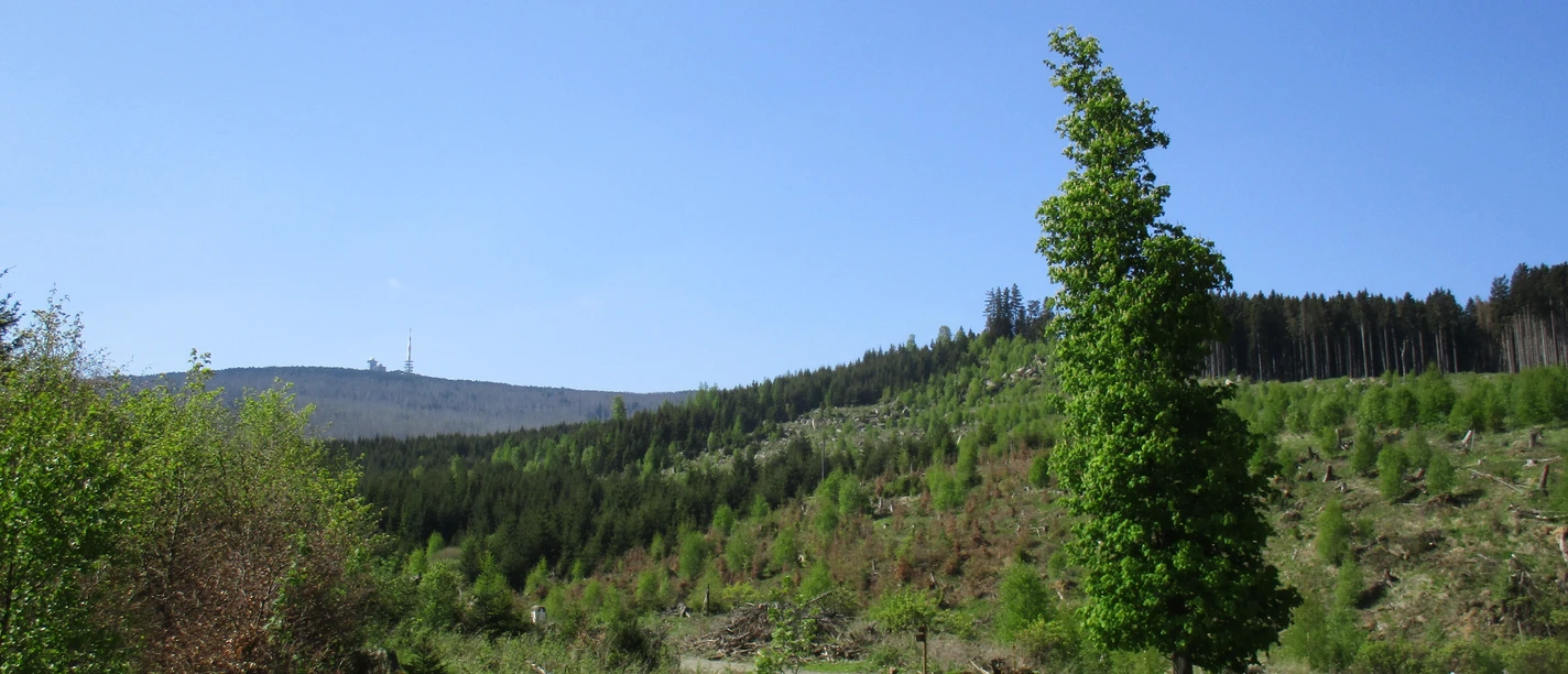 Blick von Norden auf den Brocken