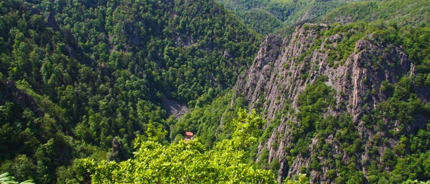 Unterwegs auf dem Harzer-Hexen-Stieg