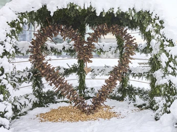 Una Storia Feenbaum 02