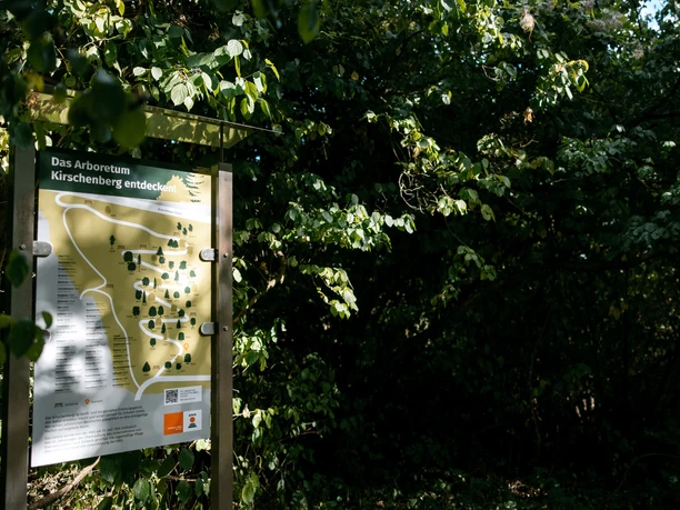 Infotafel am Kirschenberg