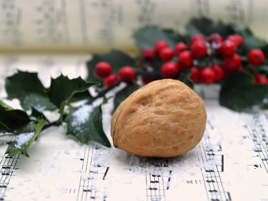 holly-8317084_1280 Frauke Riether auf Pixabay.jpg