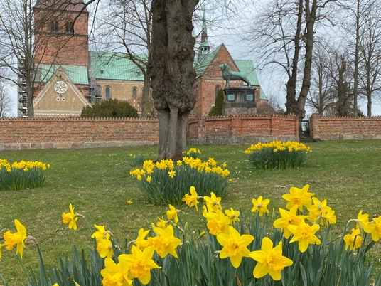 Osterglocken vorm Ratzeburger Dom mit Löwenskulptur